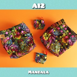 AI2 - Mandala